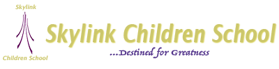 skylink logo